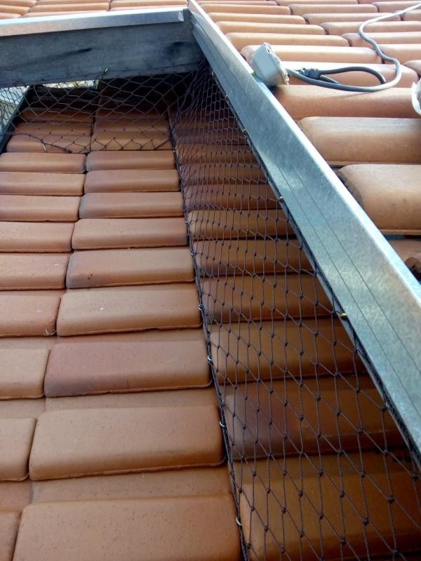 WhatsApp Image 2025-03-24 at 4.45.11 PM.jpeg