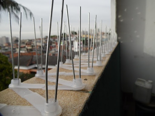 WhatsApp Image 2025-03-24 at 4.45.44 PM.jpeg